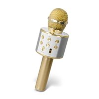 Bluetooth-Mikrofon mit Lautsprecher Forever BMS-300 Karaoke für Kinder und Elter Gold