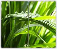 Tulup Glas-Herdabdeckplatte - 2x30x52cm - Ceranfeldabdeckung Spritzschutz Zweiteilig Tropfen Gras