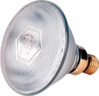 Sparlampe Philips 100W 240 V, klar