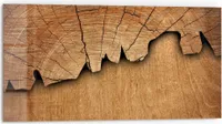 DEQORI Küchenrückwand Glas 80x40 cm 'Baumzeitzeugen' Spritzschutz Bad Rückwand Küche
