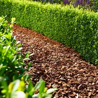 Floragard Mulch Pinienrinde 15-25 mm 2x60 L - mittel - dekorativer Bodenbelag - unterdrückt Unkrautwuchs - naturbelassen - 120 L