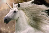 Langrish, Bob - Poster - Unicorn
