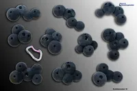 Move-it-Climbingholds - Bubblemaker M (Klettergriffe-Set), Farbe:weiß
