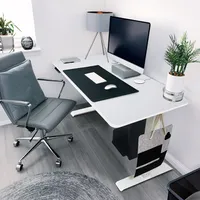 HOME DELUXE - Höhenverstellbarer Schreibtisch LUMINA - Gestell: Weiß, Platte: Weiß, Maße: 160 x 80 cm, Kohlenstoffstahl, inkl. PC-Halterung, USB Stecker und Aufbewahrungstasche I Arbeitsplatz Bürotisch