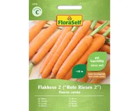 Mrkva Flakkese 2 FloraSelf
