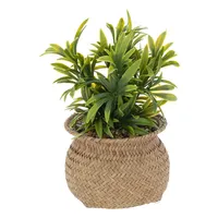Künstliche Pflanze  Schilfrohrtopf - H.20 cm - Atmosphera créateur d'intérieur