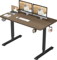 Dripex elektrisch höhenverstellbarer Schreibtisch, Stehschreibtisch, Standing Desk für Homeoffice, 110x60cm