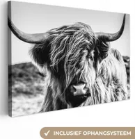 OneMillionCanvasses® - Obrazy na plátně - 140x90 cm, Kráva - Skotský náhorní skot - Černá - Bílá - Zvíře - Příroda - Volně žijící zvířata, Nástěnné umění tisk Nástěnná dekorace - Foto na