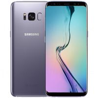 Samsung Galaxy S8 - 64GB - SM-G950U - Neuwertig Orchid Grey