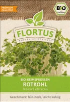Keimsprossen Rotkohl |Keimsprossen von FLORTUS