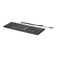 HP USB-Tastatur für PC, Volle Größe (100%), Kabelgebunden, USB, Schwarz