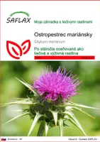 SAFLAX - ostropestrec mariánsky - Silybum marianum - 75 Semená
