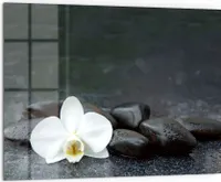 DEQORI Küchenrückwand Glas 80x60 cm 'Kontrastreiches Zen-Motiv' Spritzschutz Bad Rückwand