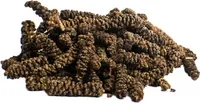 Langer Pfeffer ganz (Chavia officinarum) - Stangenpfeffer schwarz - Langpfeffer - Bengalischer Pfeffer - 30g