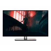 Lenovo ThinkVision P27h-30 - LED-Monitor - QHD - 68.6 cm (27")