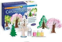 Experimentierkasten - Das Phänomen der Kristallisation