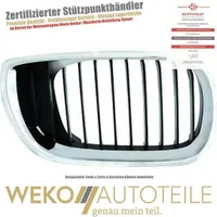 Diederichs Grill li.      BMW E46, 98-03         Coupe/Cabrio