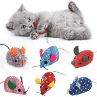 12 Stück bunte Spirale Katzenspielzeug Garten & Heimwerken Tierbedarf Katzenzubehör Katzenspielzeuge 