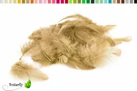 Bastelfedern 5-10cm, ca. 80-100 Stück, Farbauswahl:sand / beige / natur 835