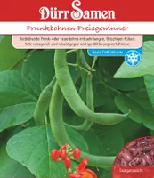 Dürr-Samen - Prunkbohnen Preisgewinner - Saatgut - 0326