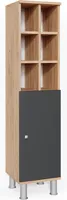 Vicco Střední skříňka Fynn, 30 x 130.6 cm velké dveře, Antracit/Zlatý mocný dub