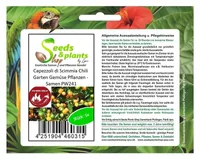5x Capezzoli di Scimmia Chili Garten Gemüse Pflanzen - Samen PW241