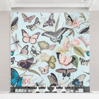 Spritzschutz Glas - Vintage Collage - Schmetterlinge und Libellen - Quadrat 1:1, Größe HxB:59cm x 60cm