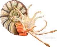 Collecta Pleuroceras Ammonitenfigur Xl Mehrfarbig 3-6 Years Mehrfarbig 3-6 Years