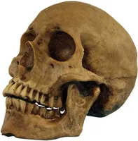 Antik aussehender Totenschädel