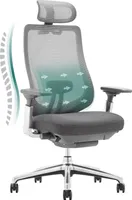 COLAMY ATLAS Ergonomischer Netz-Bürostuhl – Chefsessel mit Kopfstütze, 4D-Armlehnen, Schiebesitz und Neigungssperre, Dunkelgrau