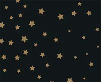 Größe:130 x 160 cm PVC Tischdecke Star grau Sterne Weiss Wachstuch · Breite /& Länge wählbar · abwaschbare Tischdecke Weihnachten