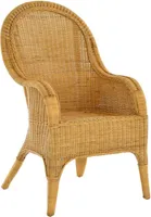 KRINES HOME  Bequemer Rattansessel mit hoher Rückenlehne Rattan Rattanstuhl Lounge mit Breiten Armlehnen (Honig, ohne Polster)