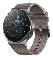Huawei Watch GT 2 Pro (Vidar B19V) Classic Grau Smartwatch AMOLED GPS 5ATM 4GB