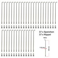 37 Stück Speichen 248mm verstärkt NIROSTA 2,34mm inkl. Messing Speichennippel