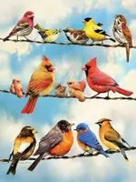 puzzle Birds on a Wire 500 Teile