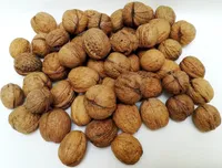 IGART Haselnüsse 3kg + Walnüsse 10kg in der Schale MIX Hazelnuts Walnuts Schmackhafte reif Walnüsse Unbehandelt