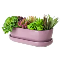 Blumentopf Blumenübertopf Rose Kaktenschale mit Untersetzer Oval LxBxH 13 cm x 27,5 cm x 8 cm Oberfläche Glanz Kakten Keramik Modern Glamour