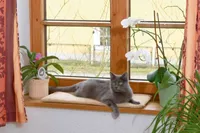 Fensterliegekissen 60x26x2cm, selbstwärmend