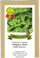 Oregano - Dost - Bienenweide - Origanum vulgare - 3000 Samen