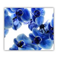 Herdabdeckplatten Ceranfeldabdeckung Spritzschutz 60x52 Blumen Blau Orchidee
