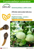 SAFLAX - Africká obrovská tekvica - Lagenaria siceraria - 15 Semená - S pestovateľským substrátom bez klíčkov