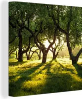 MuchoWow® - Leinwandbilder - Bäume - Natur - Sonne, Wandbild, Wanddeko Bilder Wohnzimmer, 90x90 cm