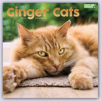 Ginger Cats - Rothaarige Katzen 2023