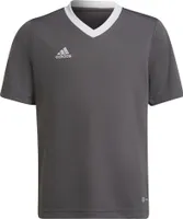 Adidas Koszulki Entrada 22 Jsy, H57499, Größe: 123