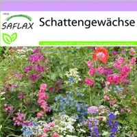 SAFLAX - Wildblumen: Schattengewächse - 1000 Samen - 19 Wildflower Mix