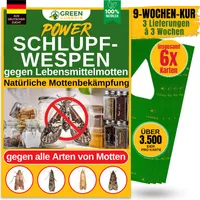 Schlupfwespen gegen Lebensmittelmotten, 2 Karten x 3 Lieferungen (6 Karten), GreenGuardia, derMottenschutz. Alternativ zu:Mottenfalle,Klebefalle
