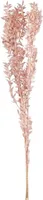 Ruscus - rosa - ca. 70 cm