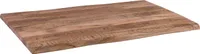 Tischplatte Baumkante Mango rough 120 x 60 cm CURT