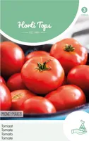 Tomaten Moneymaker | Tomatensamen von Hortitops