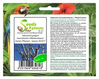 5x Adansonia gregori Australischer Affenbrotbaum Garten Pflanzen - Samen ID1077